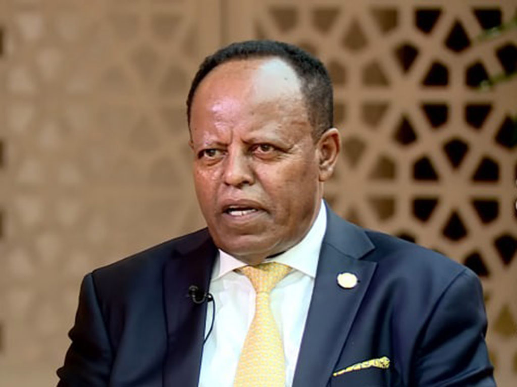 etiopia-pidio-promover-intereses-colectivos-en-cita-transcontinental