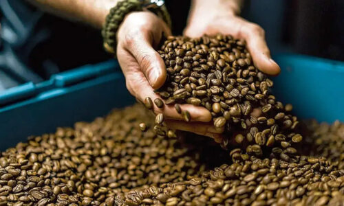 caen-exportaciones-de-cafe-del-el-salvador-en-marzo