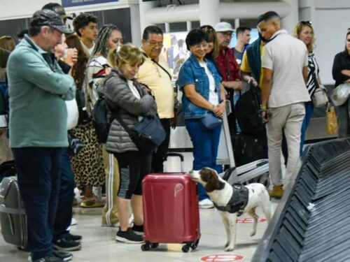 aduana-cubana-reafirma-su-politica-de-tolerancia-cero-a-las-drogas