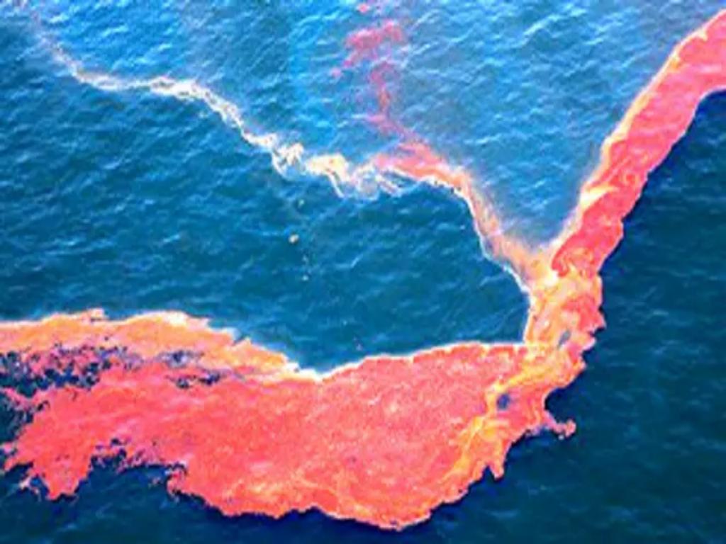 recolectan-889-toneladas-de-crudo-tras-derrame-en-golfo-de-mexico