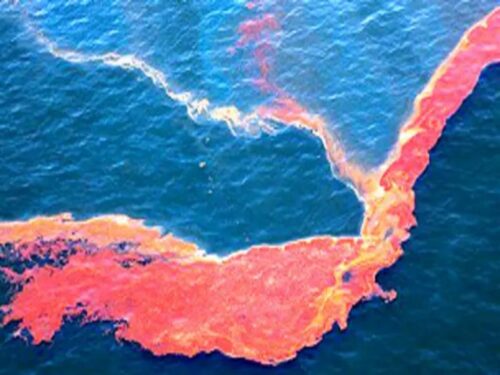 recolectan-889-toneladas-de-crudo-tras-derrame-en-golfo-de-mexico