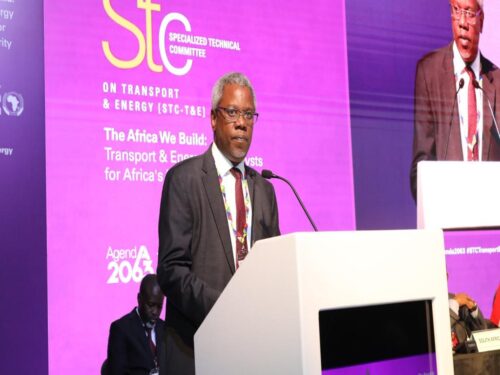 expertos-abordan-prioridades-para-transporte-y-energia-en-africa
