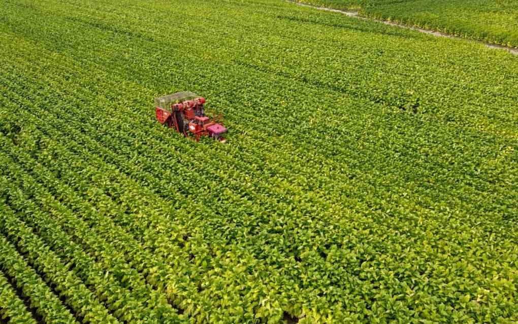 crece-comercio-agricola-entre-rusia-y-la-ocs