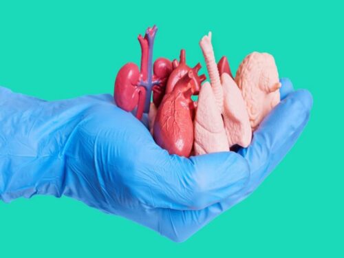 impulsan-estrategia-para-aumentar-donacion-de-organos-en-dominicana