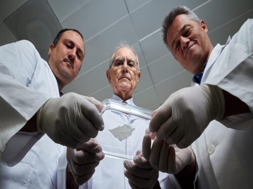 cientificos-rusos-crean-piel-artificial-para-tratar-heridas-en-animal