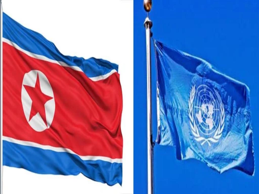 rpdc-rechaza-resolucion-de-onu-sobre-derechos-humanos