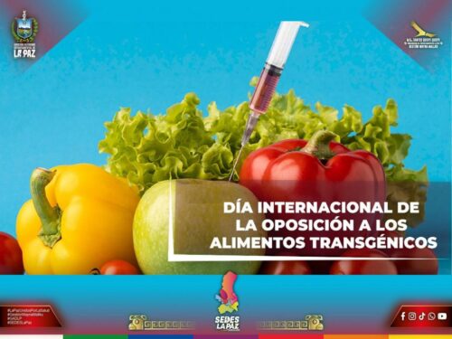 alertan-sobre-efectos-nocivos-de-los-alimentos-transgenicos