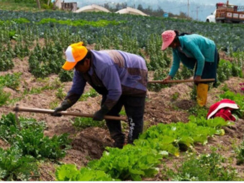 polemica-en-bolivia-tras-promulgacion-de-ley-sobre-tierras