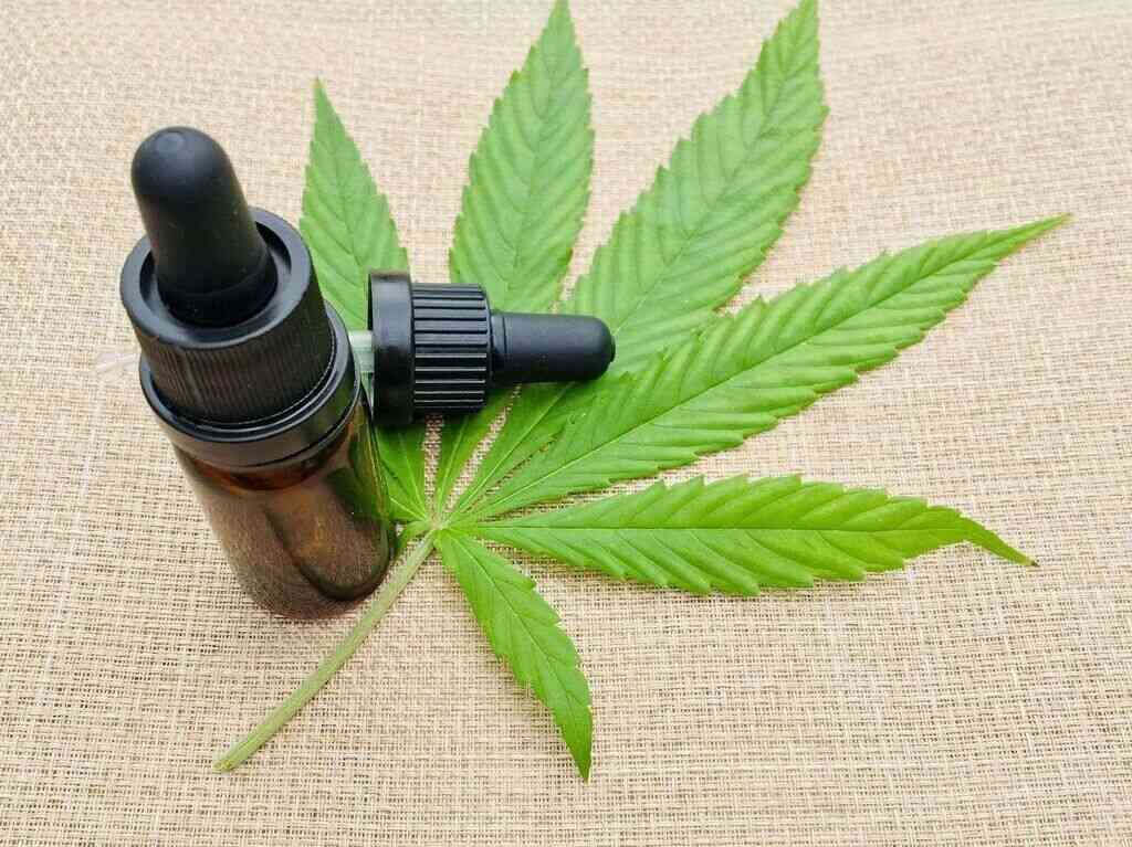 en-congreso-argentino-proyecto-para-legalizar-uso-de-la-marihuana