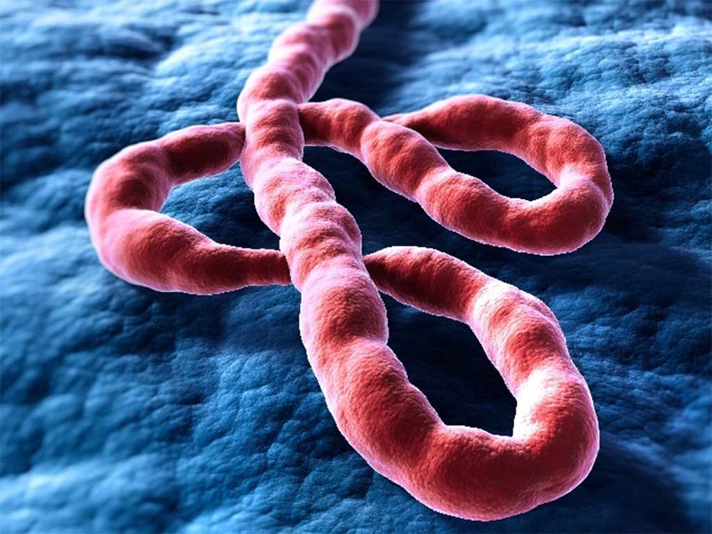 vietnam-atento-ante-emergencia-internacional-por-ebola