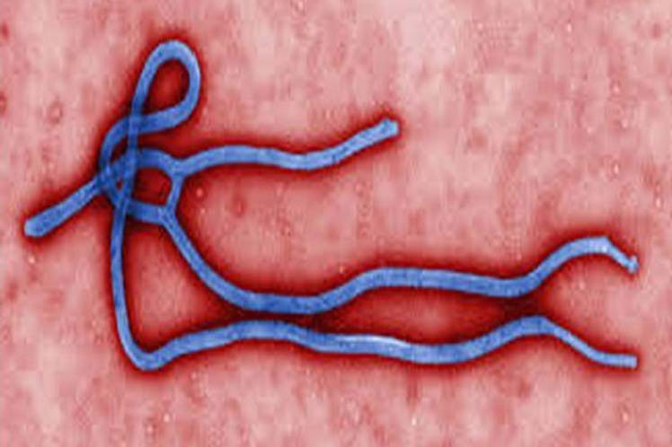 ebola-regreso-a-rdc-con-un-matiz-mas-complejo