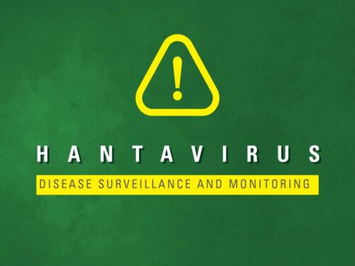 oms-considera-bajo-el-riesgo-de-brote-del-virus-hanta-en-vietnam