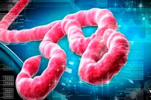 nepal-refuerza-controles-sanitarios-ante-ebola-en-africa