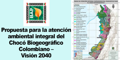 amplian-zona-ambiental-protegida-en-choco-colombia