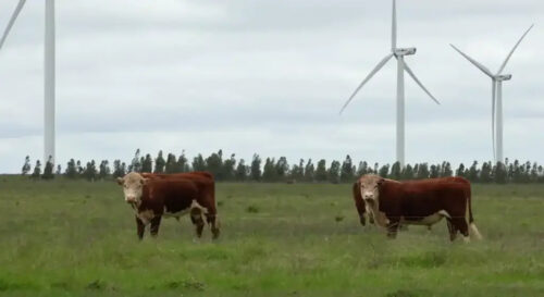 uruguay-prioriza-uso-de-fuentes-renovables-de-energia