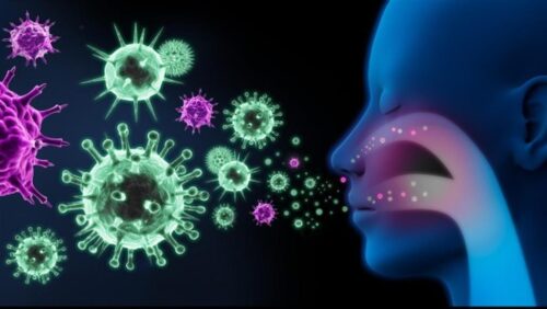 italia-incrementa-la-vigilancia-sanitaria-sobre-virus-emergentes