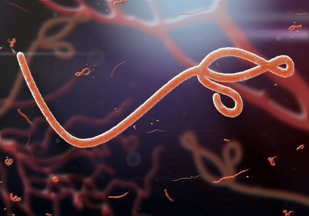 egipto-sin-registrar-casos-de-ebola