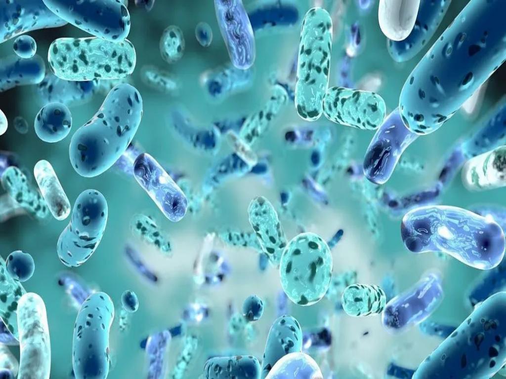 descubren-en-rusia-nuevas-bacterias-con-potencial-medico-y-agricola