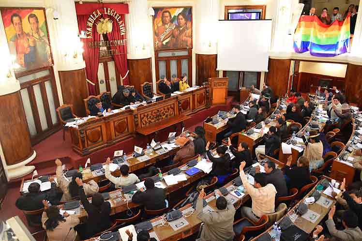 diputados-de-bolivia-debaten-reglamento-de-estado-de-excepcion