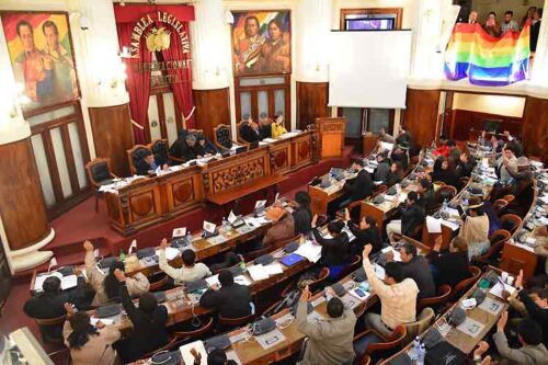diputados-de-bolivia-debaten-reglamento-de-estado-de-excepcion