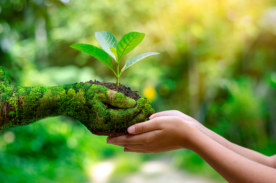 politica-ambiental-sigue-siendo-una-prioridad-del-estado-cubano