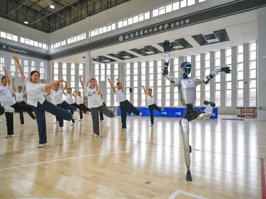 por-que-los-robots-chinos-son-asequibles-y-altamente-capaces