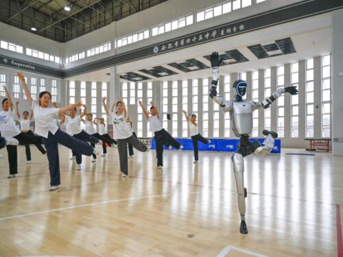 por-que-los-robots-chinos-son-asequibles-y-altamente-capaces