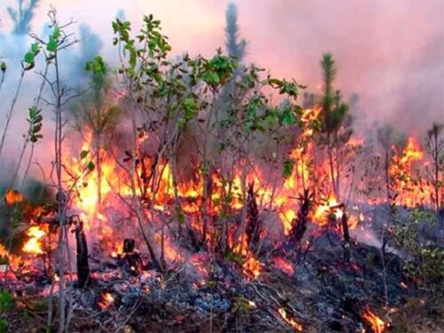 al-menos-siete-departamentos-franceses-afectados-por-incendios