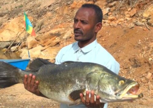 etiopia-duplico-produccion-pesquera-en-lago-asociado-a-gran-presa