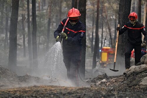 francia-lanzara-inversion-para-recuperacion-forestal-tras-incendios