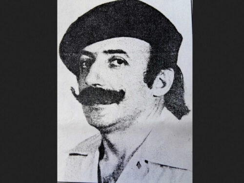 el-bigote-gato-del-turismo-de-cuba