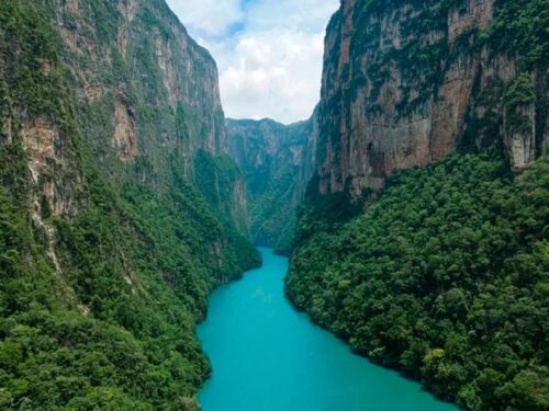 corredor-biocultural-gran-selva-maya-bosque-clave-en-mesoamerica