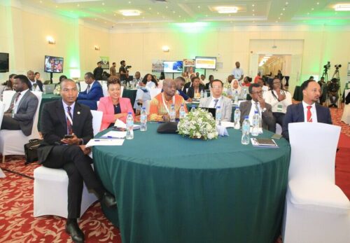 jovenes-e-inversores-conectan-con-accion-climatica-en-africa