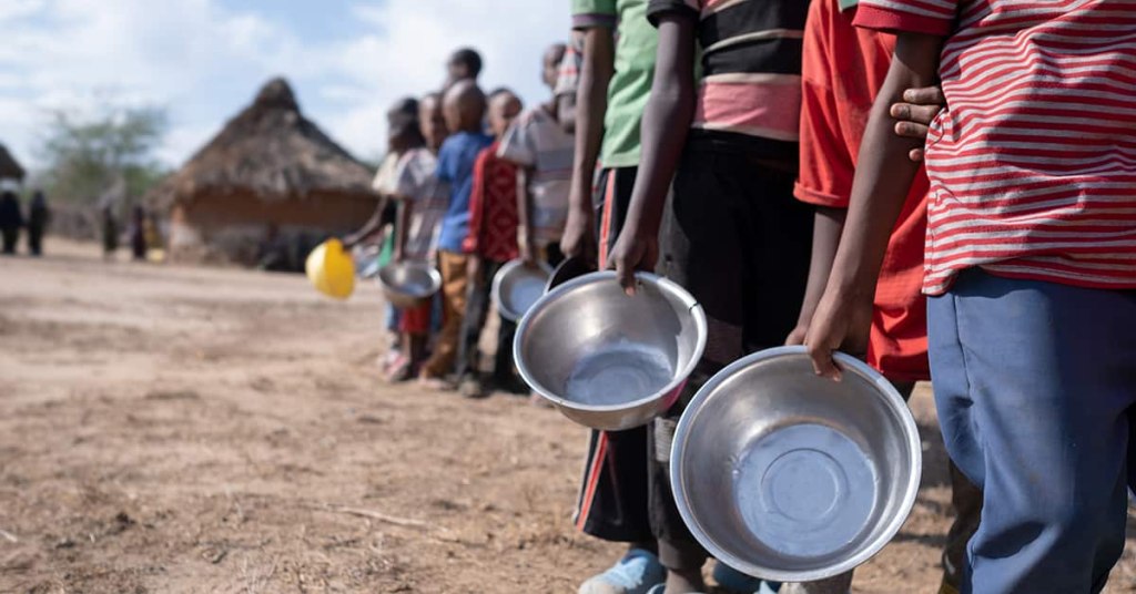 pese-a-inversiones-africa-examina-aumento-de-inseguridad-alimentaria