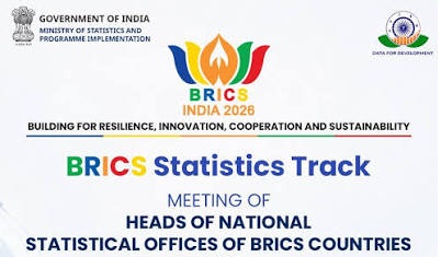 expertos-de-estadisticas-de-brics-en-india-con-renovadas-ideas