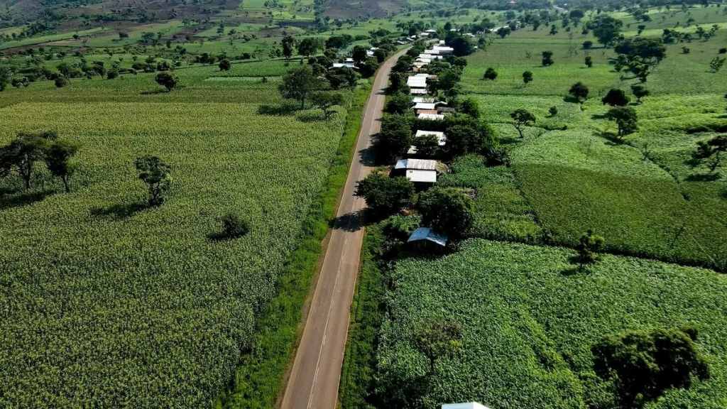 Agricultura por clúster alcanzó 13 millones de héctareas en Etiopía