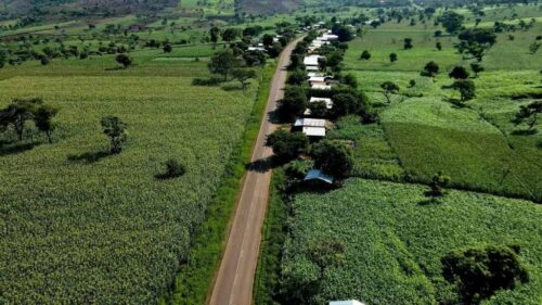 agricultura-por-cluster-alcanzo-13-millones-de-hectareas-en-etiopia