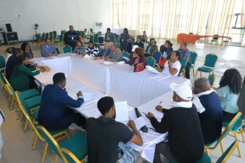 avanza-fase-final-de-conferencia-nacional-de-dialogo-de-etiopia