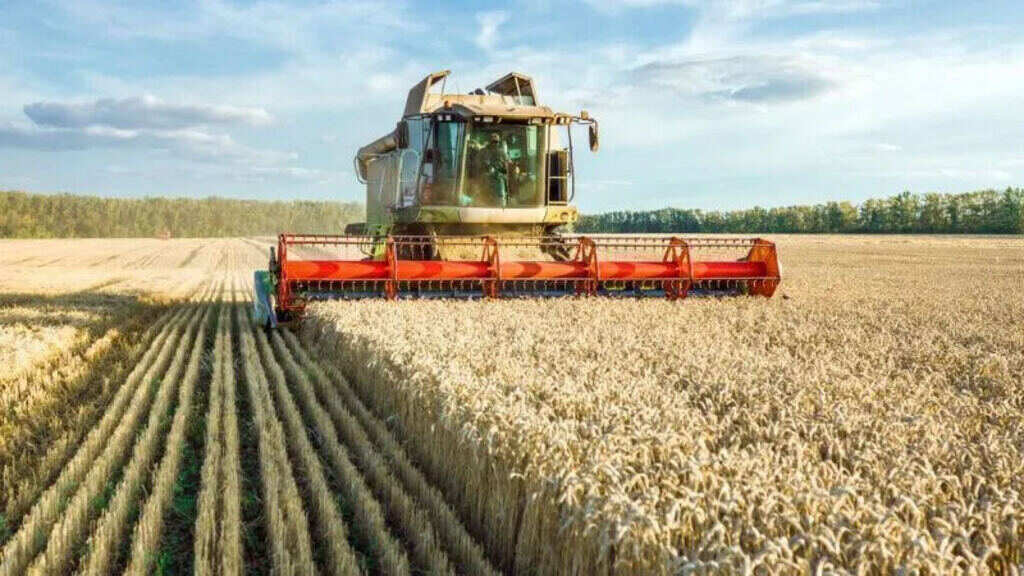rusia-aumenta-las-exportaciones-agroalimentarias-a-africa