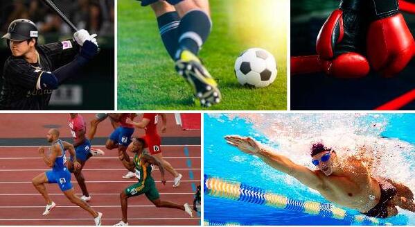 tercer-boletin-de-deportes-802