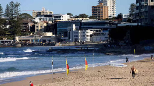 evacuan-playa-en-australia-tras-alerta-de-tiburon-detectado-con-dron