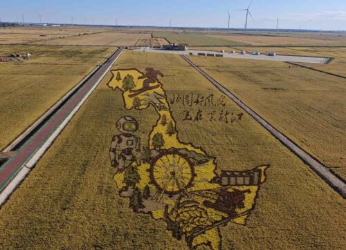 agricultura-china-avanza-hacia-mayor-valor-agregado-y-digitalizacion