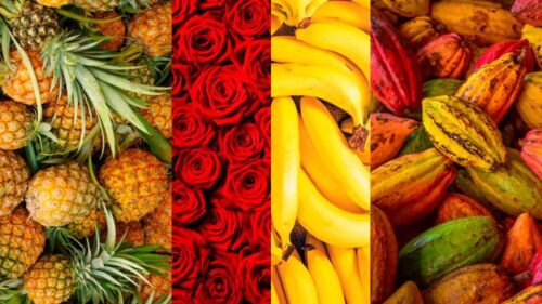 gremio-pide-medidas-para-ayudar-a-sector-exportador-de-colombia