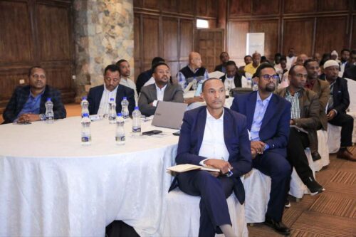 modernizacion-agricola-acerca-a-etiopia-a-soberania-alimentaria