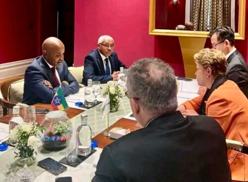 etiopia-y-banco-del-brics-analizaron-nexos-y-vias-de-cooperacion