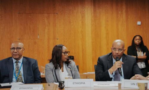 etiopia-presento-avances-en-inclusion-financiera-digital-en-onu