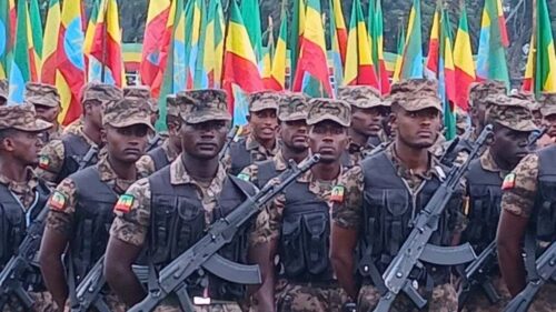 rinden-homenaje-a-heroes-caidos-en-dia-de-resiliencia-en-etiopia