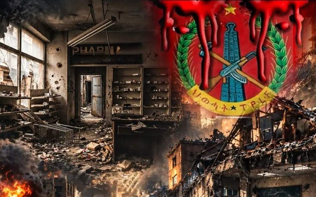 conflicto-armado-en-norte-de-etiopia-el-alto-costo-para-su-poblacion