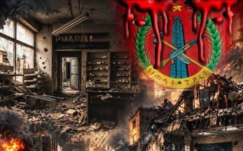 conflicto-armado-en-norte-de-etiopia-el-alto-costo-para-su-poblacion