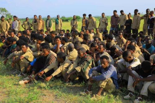 confirman-rendicion-de-tropas-del-tplf-de-tigray-en-etiopia